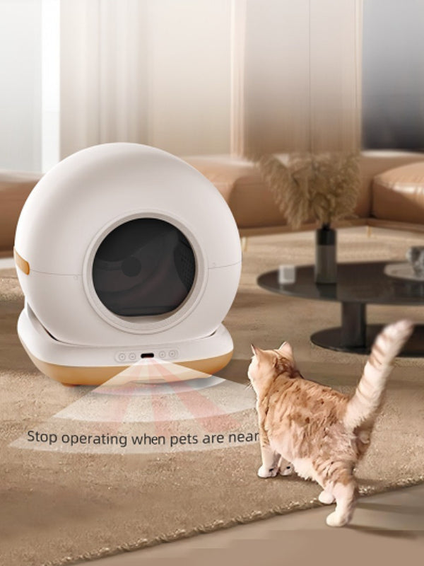 Safe for cats