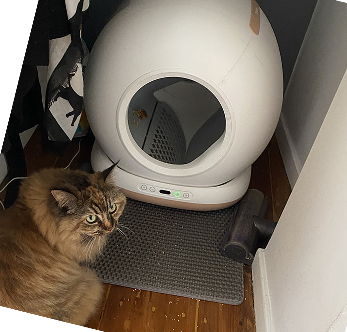 Total Game-Changer for Busy Cat Parents – Perfect for My Hectic NHS Shifts 